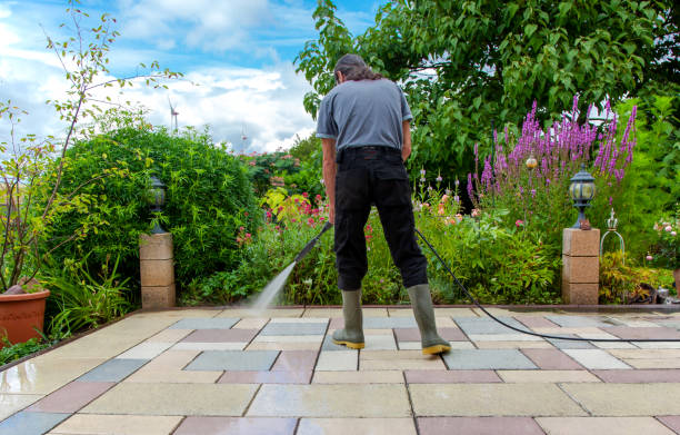 Professional Pressure Washing Services in Forestville, MD